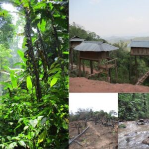Dynamiques écotouristiques au Laos