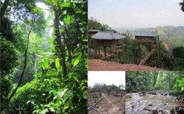 Dynamiques écotouristiques au Laos