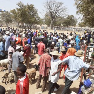 Gouvernance de 3 marchés à bétail au Bénin