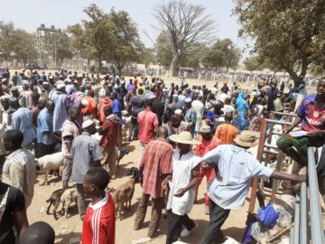 Gouvernance de 3 marchés à bétail au Bénin