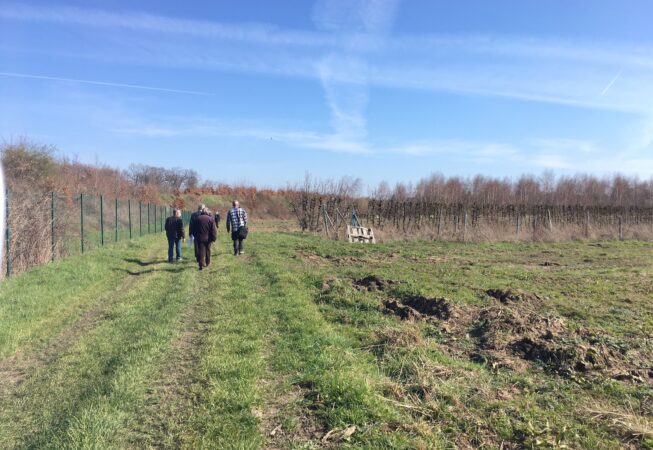 Visite du site de projet agricole à Chambourcy avec l’équipe municipale